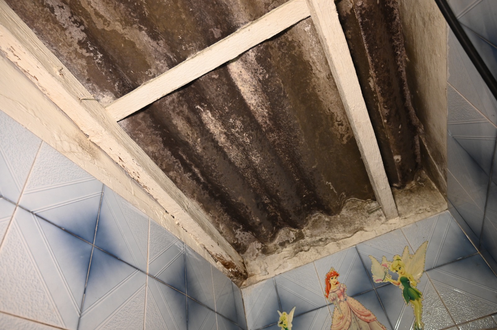 WhatsApp Image 2022-03-06 at 8.45.30 PM.jpeg